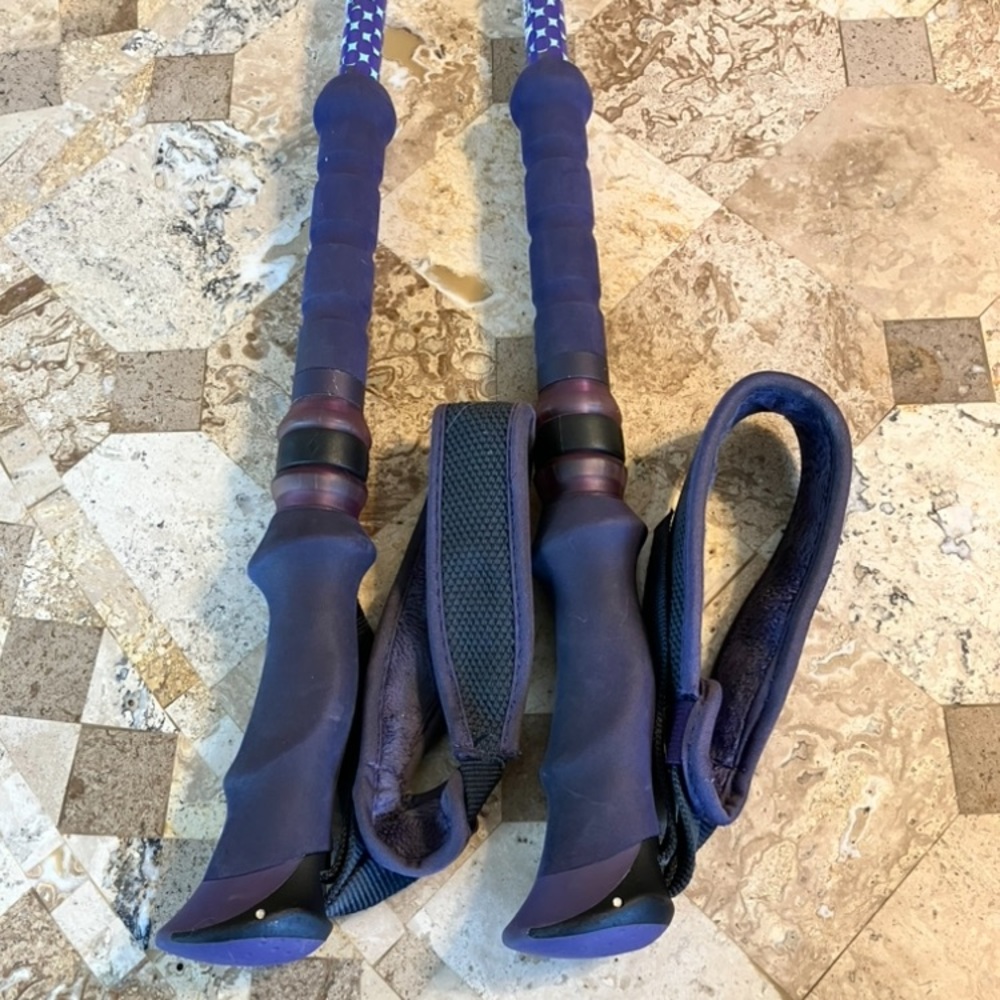REI Hiking poles